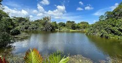 Landed Housing Development (D11), Detached #480423801